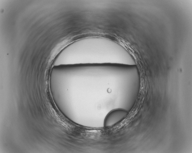 X0000086890053200704161016