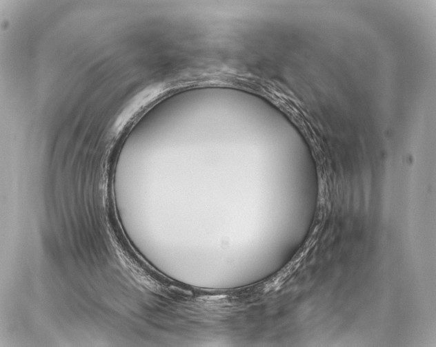 X0000086890054200704161016