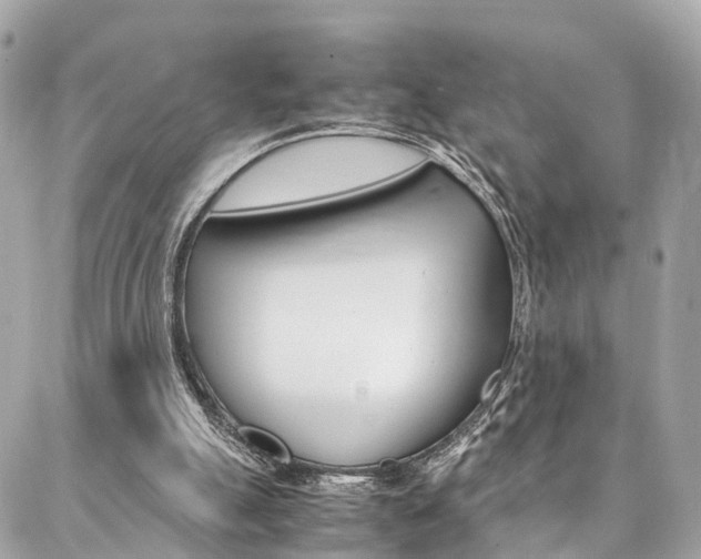 X0000086890055200704161016