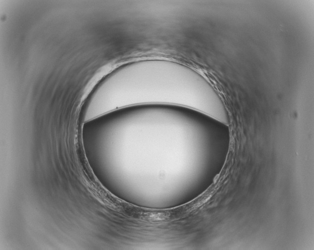 X0000086890056200704161016