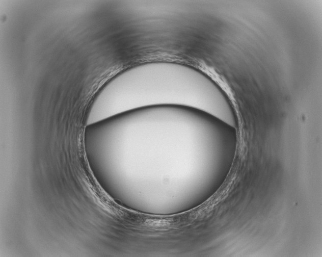 X0000086890057200704161016