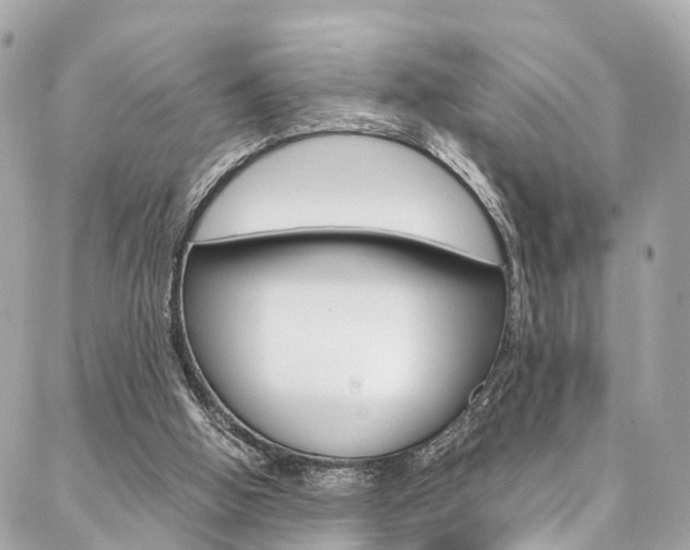 X0000086890058200704161016