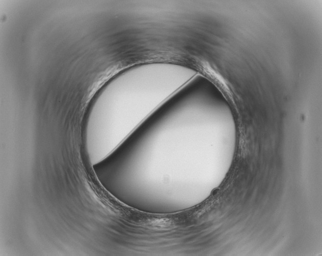 X0000086890059200704161016