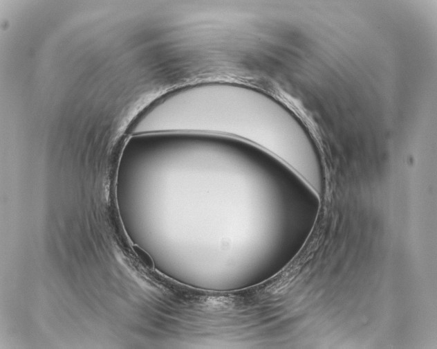 X0000086890060200704161016