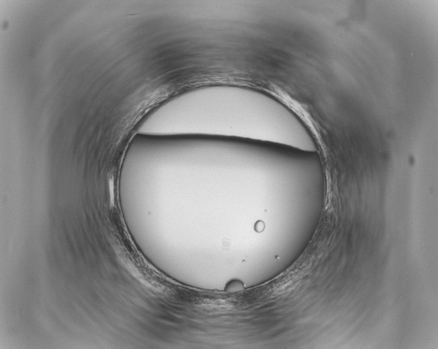 X0000086890061200704161016