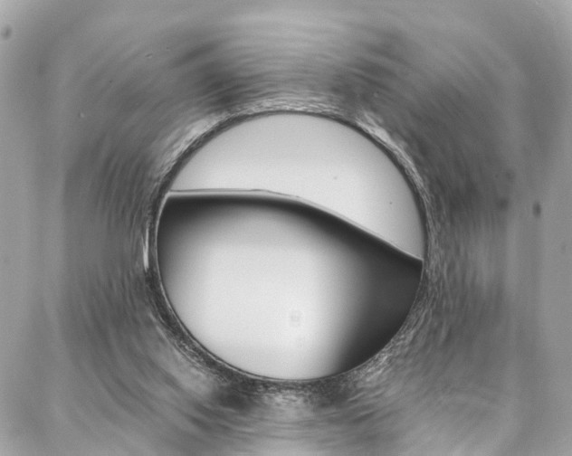 X0000086890062200704161016