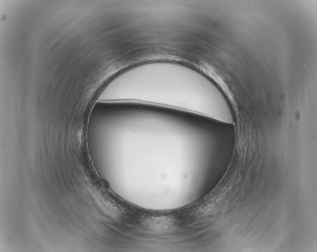 X0000086890063200704161016