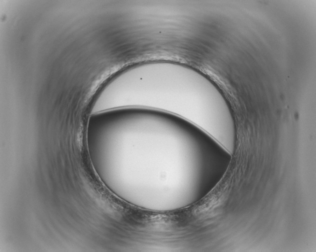 X0000086890064200704161016