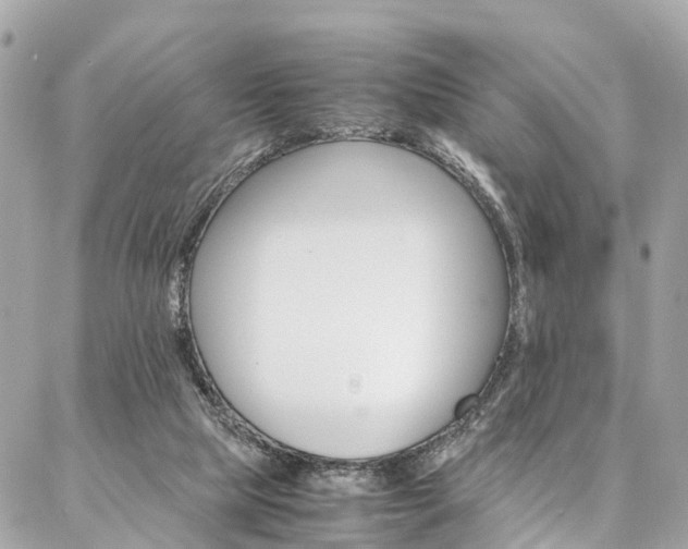 X0000086890065200704161016