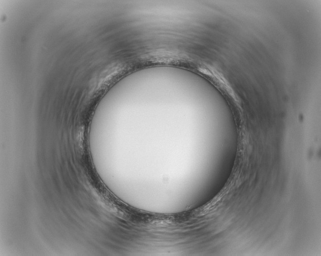 X0000086890066200704161016