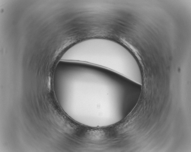 X0000086890067200704161016