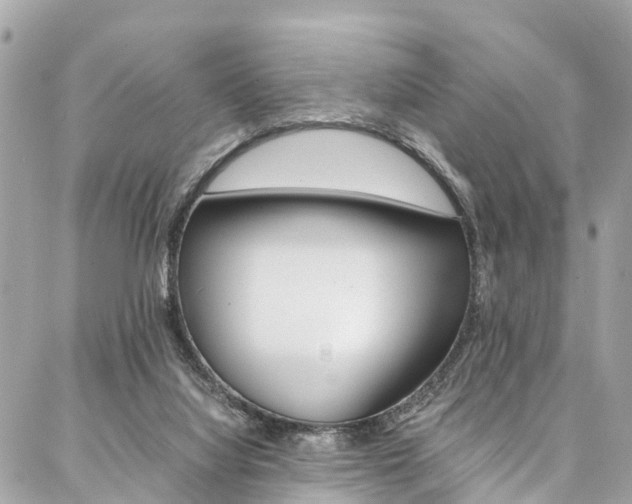 X0000086890068200704161016