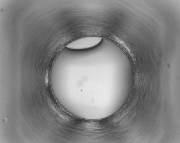 X0000086890069200704161016