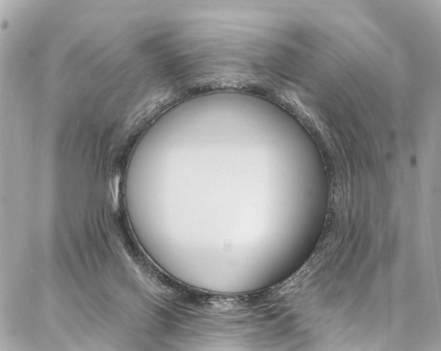 X0000086890070200704161016