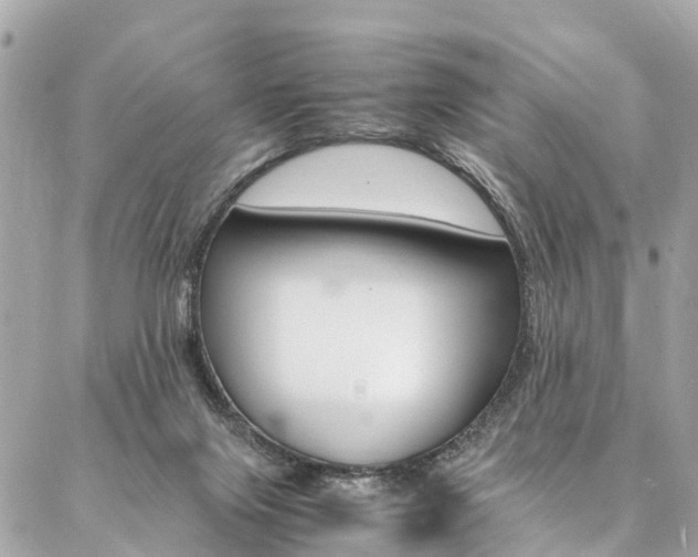 X0000086890071200704161016