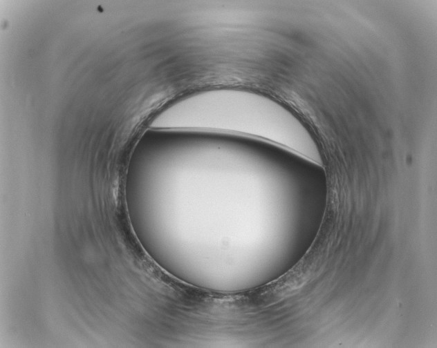 X0000086890072200704161016