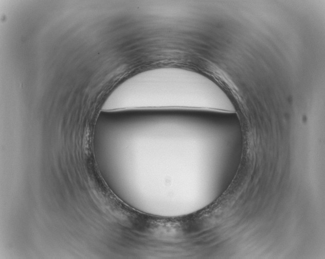 X0000086890073200704161016