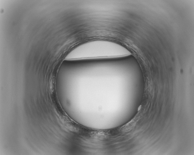 X0000086890074200704161016