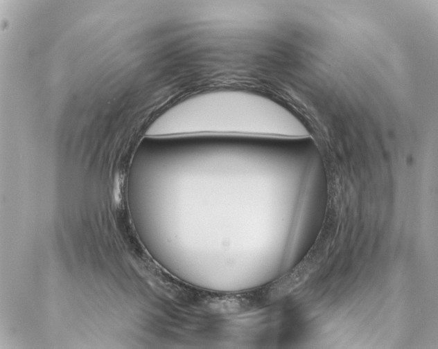 X0000086890075200704161016