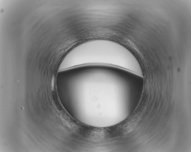 X0000086890076200704161016