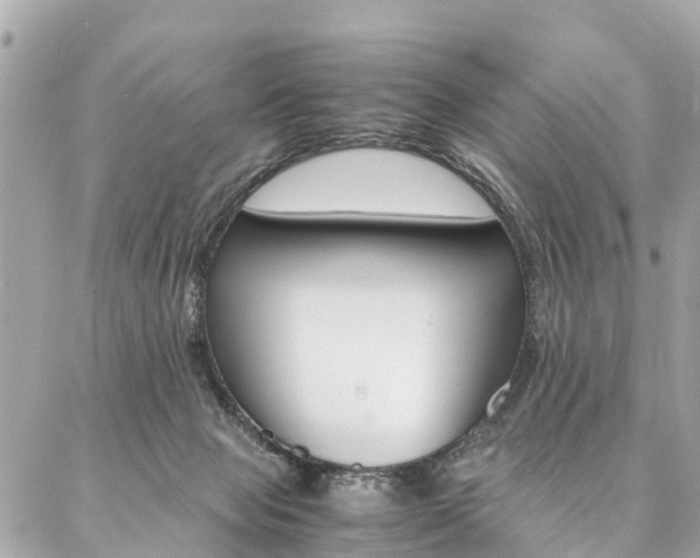 X0000086890077200704161016