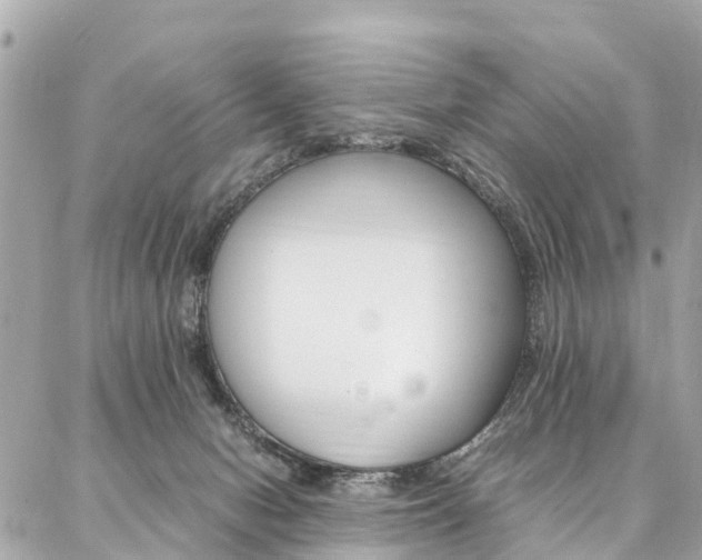 X0000086890078200704161016