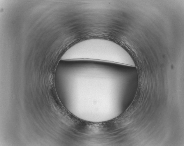 X0000086890079200704161016