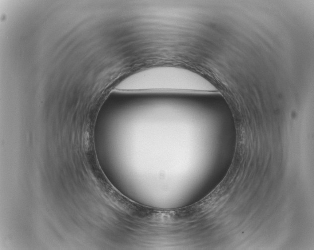 X0000086890080200704161017