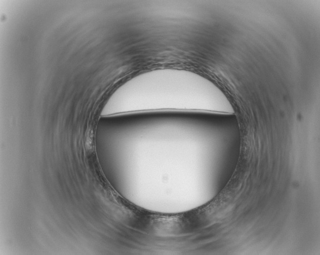 X0000086890081200704161017