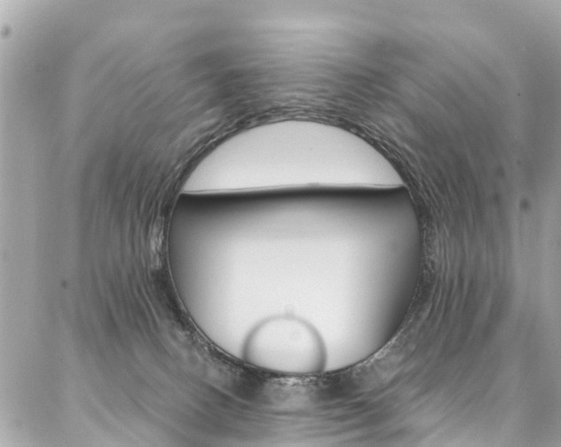 X0000086890082200704161017