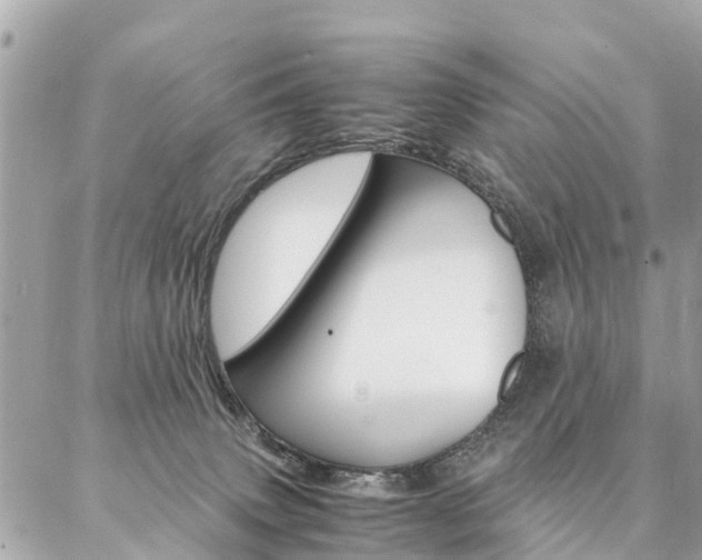 X0000086890083200704161017