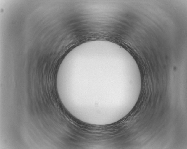 X0000086890084200704161017