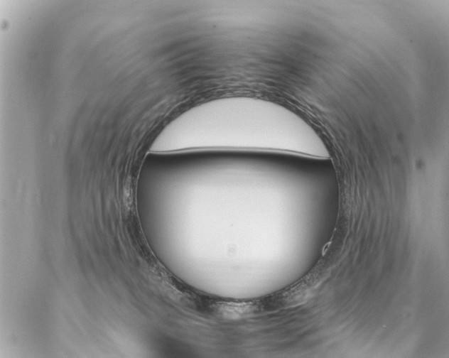 X0000086890085200704161017