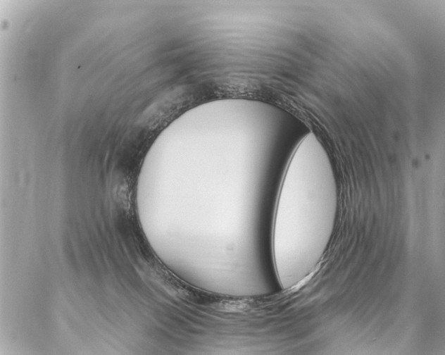 X0000086890086200704161017