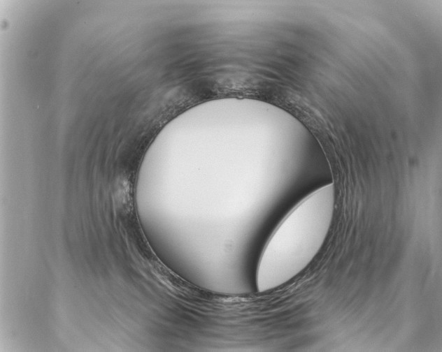 X0000086890087200704161017