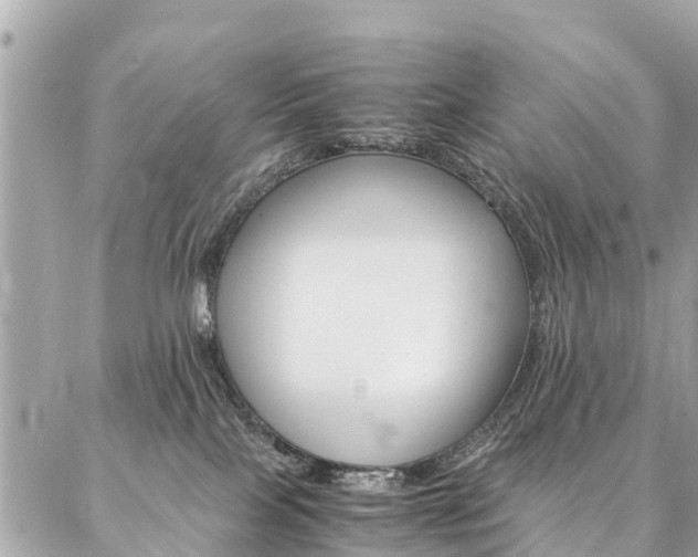 X0000086890089200704161017