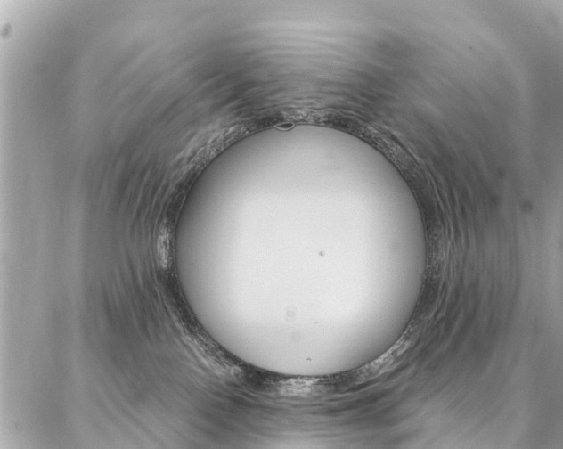 X0000086890090200704161017