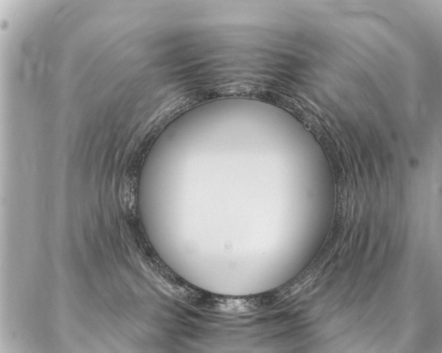 X0000086890091200704161017