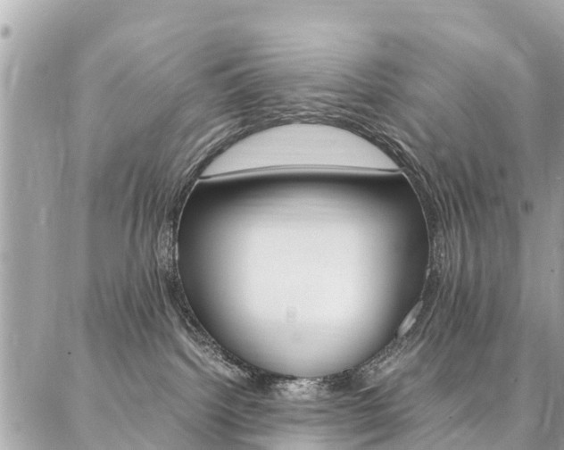 X0000086890092200704161017