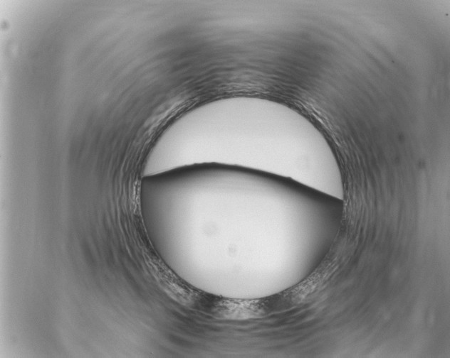 X0000086890093200704161017