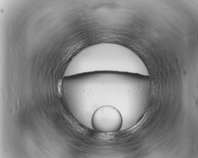 X0000086890094200704161017