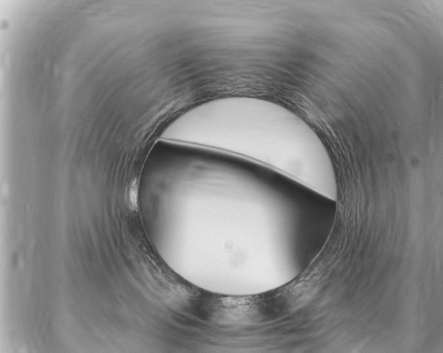 X0000086890095200704161017