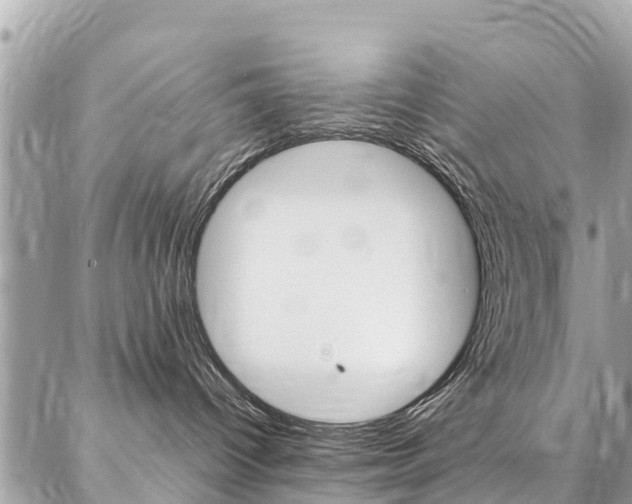 X0000086890096200704161017