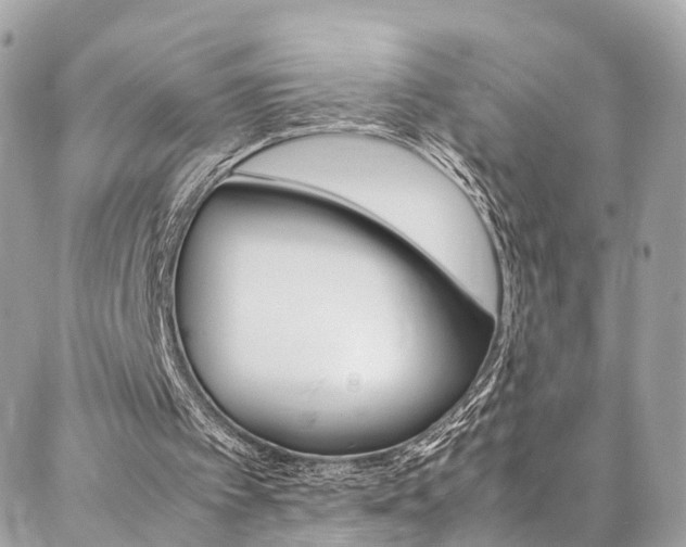 X0000086890097200704161016