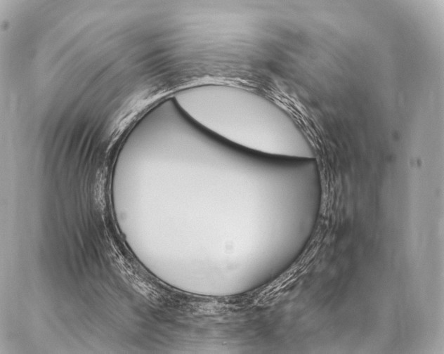 X0000086890098200704161016