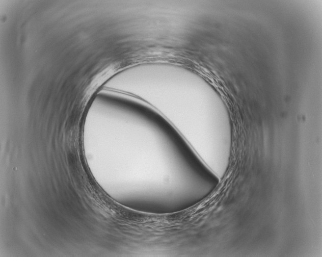 X0000086890099200704161016