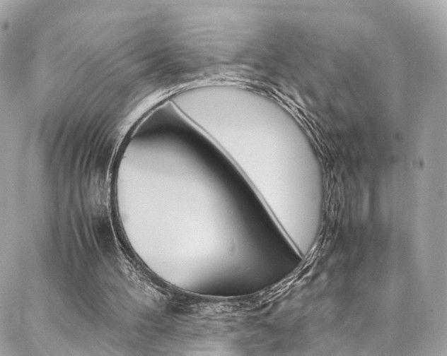 X0000086890100200704161016