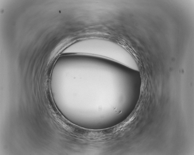 X0000086890101200704161016