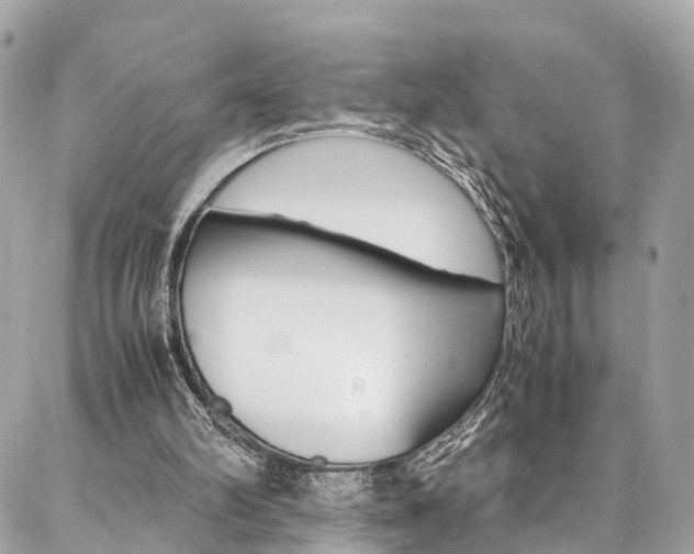 X0000086890102200704161016