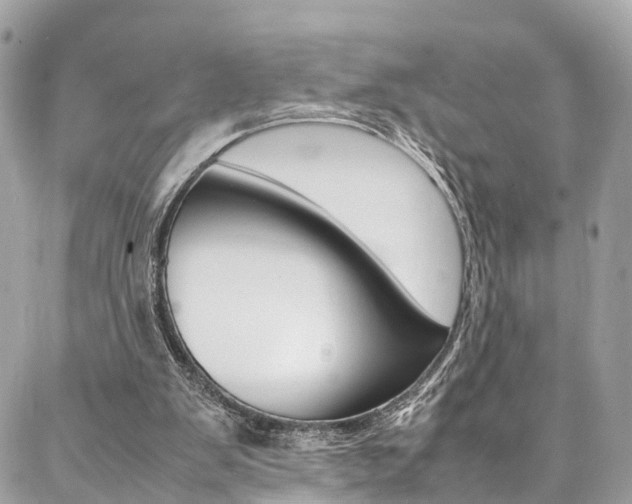 X0000086890103200704161016